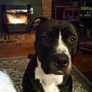 Meet your Posher, Joan